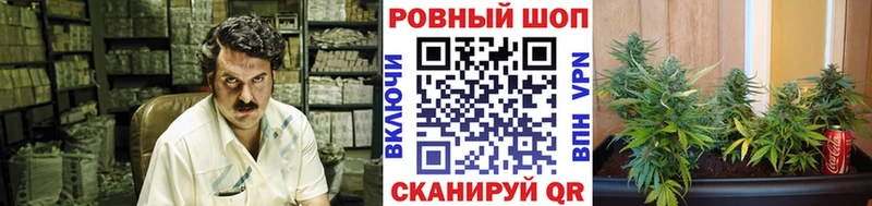 Наркошоп купить Кокаин  Каннабис  СК  Гашиш  Меф мяу мяу  Пыть-Ях